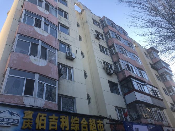 黑龙江省哈尔滨市南岗区宣西小区28栋房产